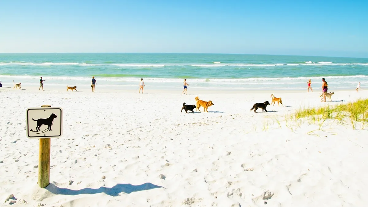 A Practical Guide to Dog-Friendly Beaches in Pensacola