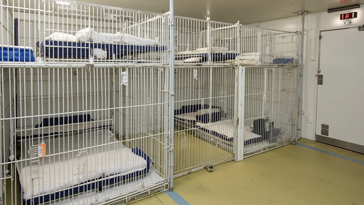 Cruise ship kennel facilities with clean accommodations