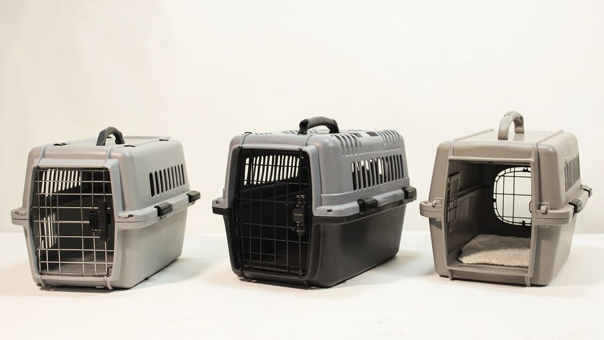 Various airline-approved pet carriers displayed for comparison
